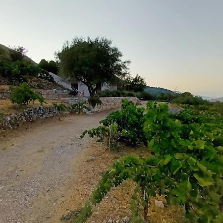 Οίνου Γη Ιθάκη - Winelandithaca Villa Perachori Exteriör bild