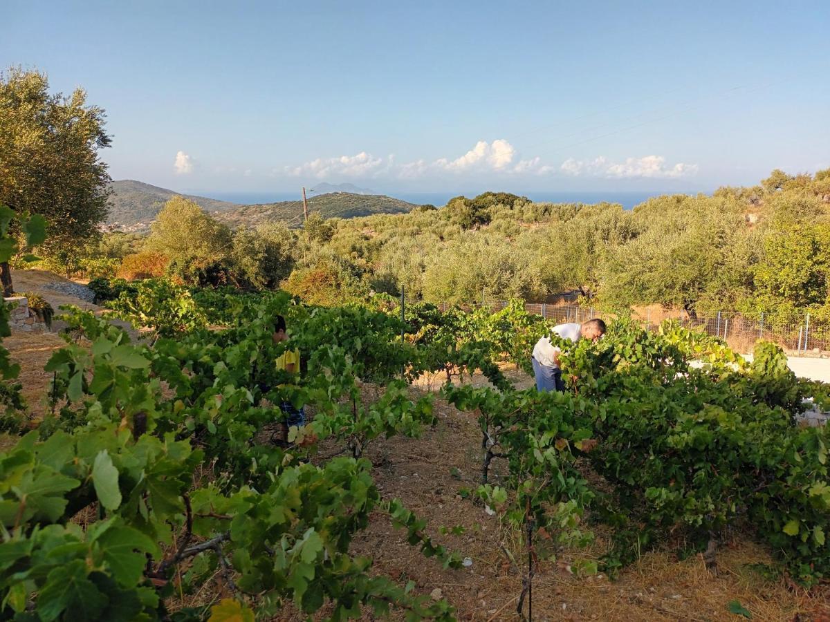 Οίνου Γη Ιθάκη - Winelandithaca Villa Perachori Exteriör bild