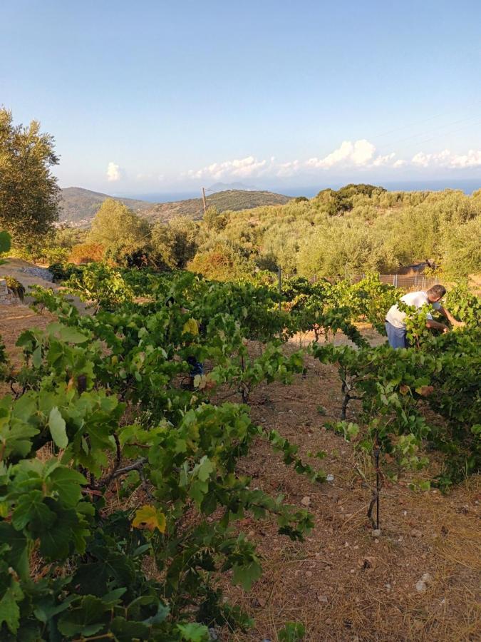 Οίνου Γη Ιθάκη - Winelandithaca Villa Perachori Exteriör bild